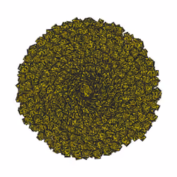 SPIN #0894