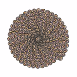 SPIN #0968