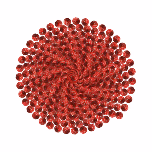 SPIN #0745