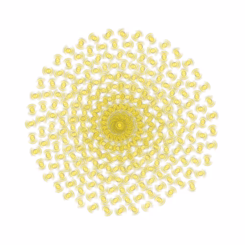 SPIN #0531