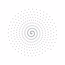 SPIN #0406