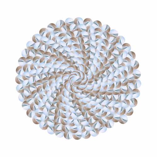 SPIN #0319