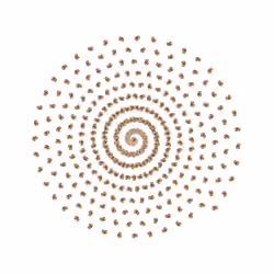 SPIN #0863