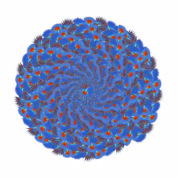 SPIN #0025