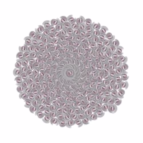 SPIN #0379