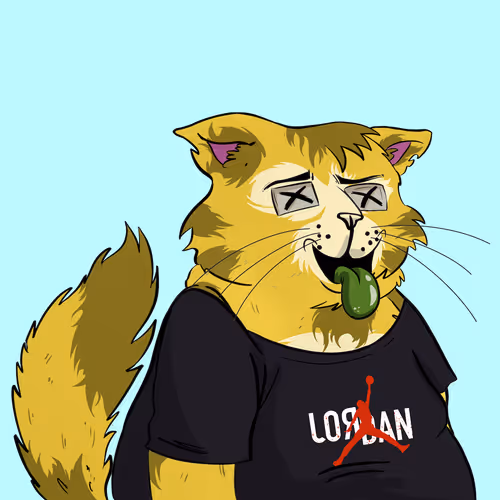 Fatcatzcollection