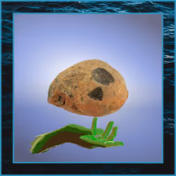 Rock #508