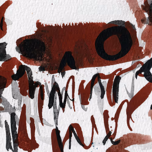 Skullstudies