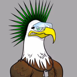 Epic Eagle #5587