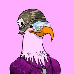 Epic Eagle #4081