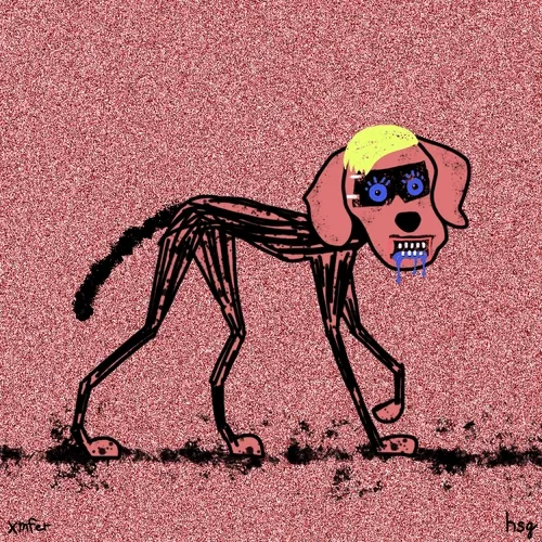 Xmfer Pets