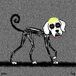 dog #1687