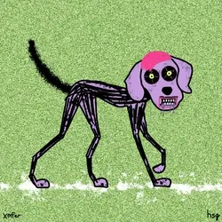 dog #1818