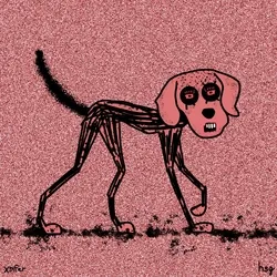dog #657