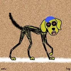 dog #806