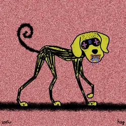 dog #1312