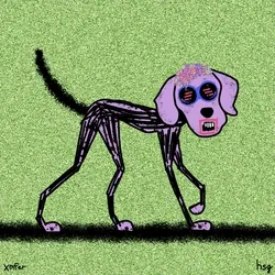 dog #2355