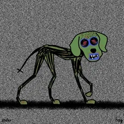 dog #2669