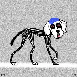 dog #734