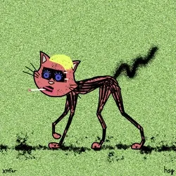 cat #2237