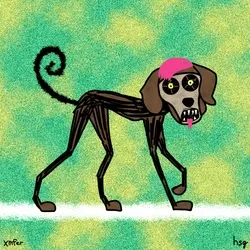 dog #1667
