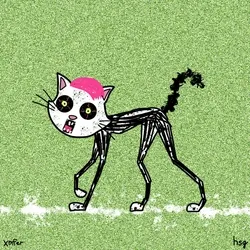 cat #867