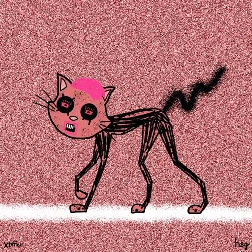 cat #567