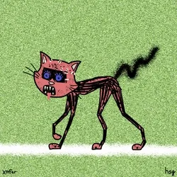 cat #342