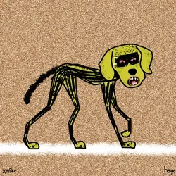dog #2455
