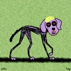 dog #447