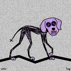 dog #427