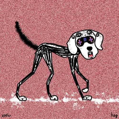 dog #62