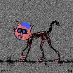 cat #2507