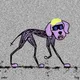 256
