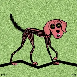 dog #1144
