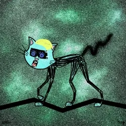 cat #640