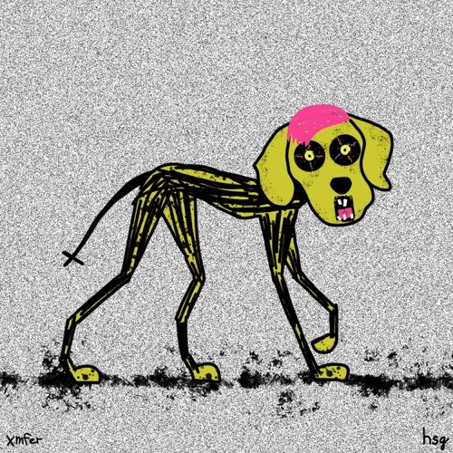 dog #669