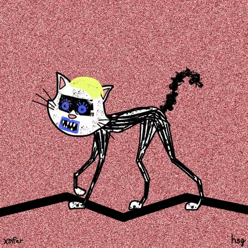 cat #2649