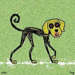 dog #1956