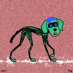 dog #2428