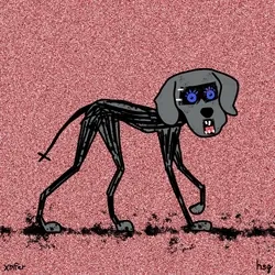 dog #1406