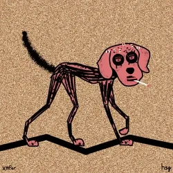 dog #672