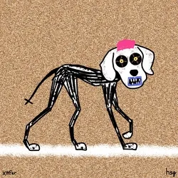 dog #2553