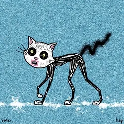 cat #376