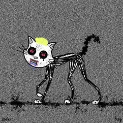 cat #2107
