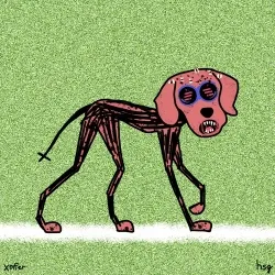 dog #1656