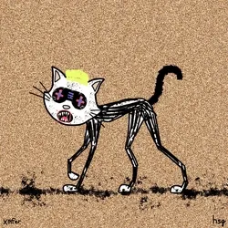 cat #802