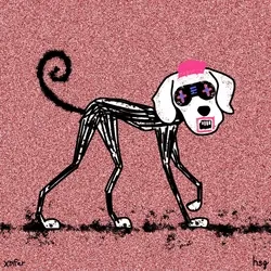 dog #2397