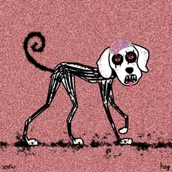 dog #288