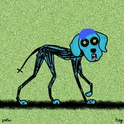 dog #2167